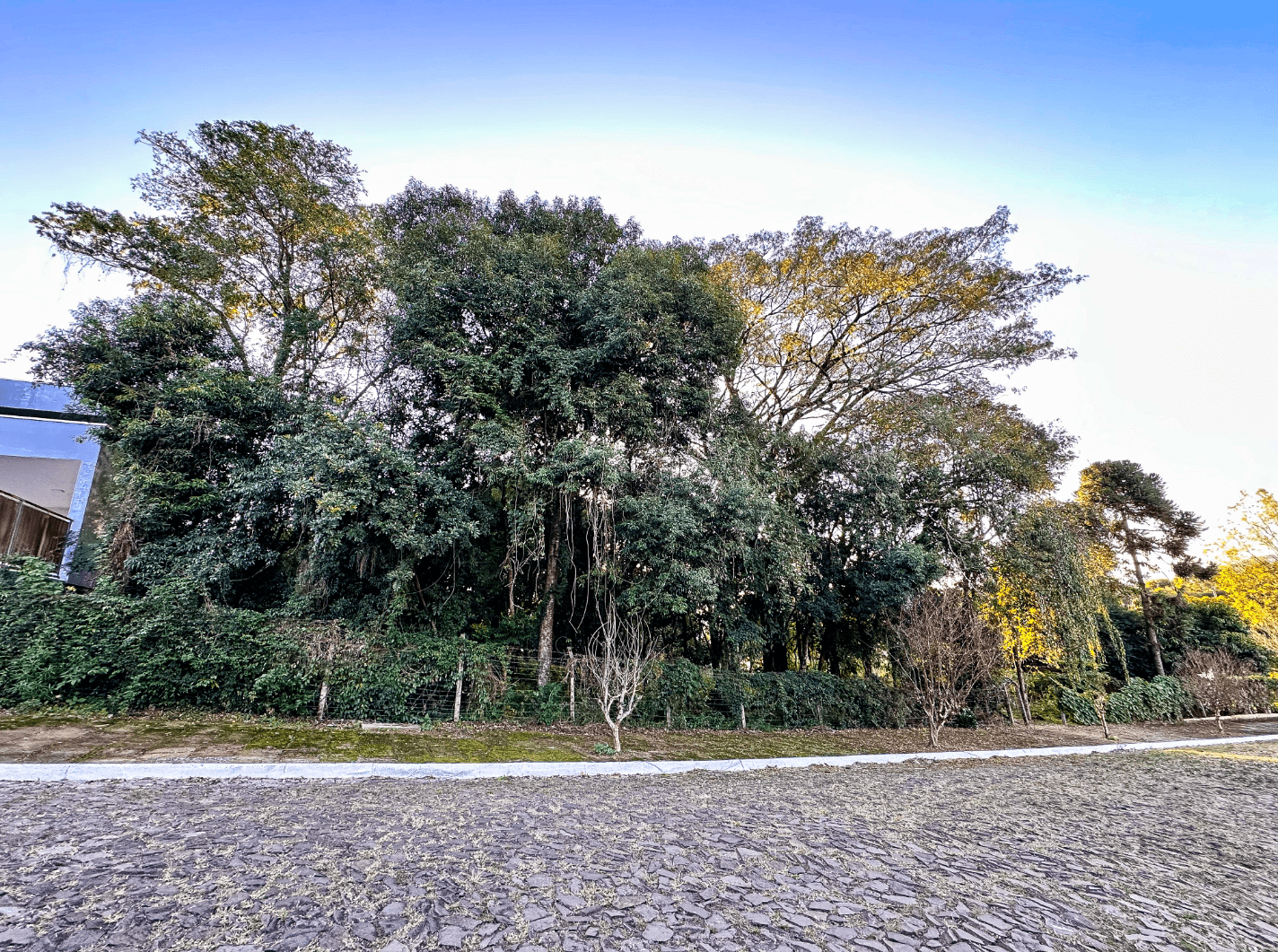 Terreno à venda no bairro Vista Alegre em Ivoti