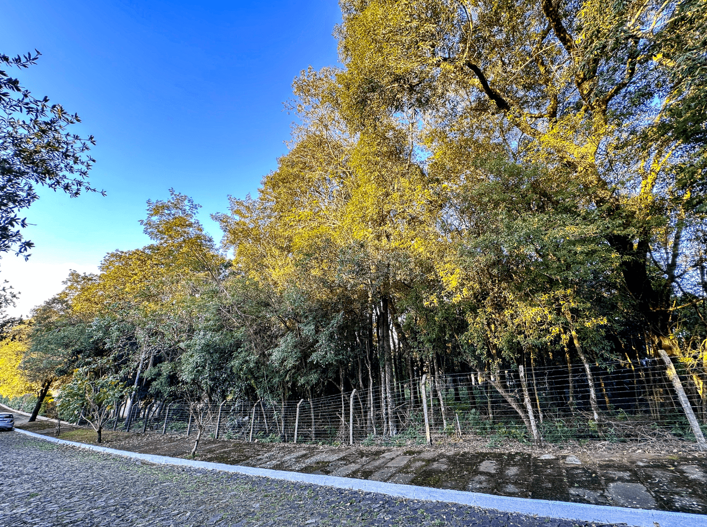 Foto do imóvel Terreno à venda no bairro Vista Alegre em Ivoti