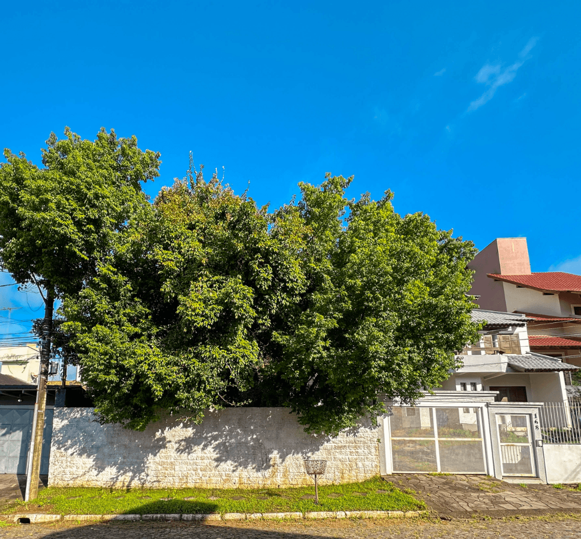 Foto do imóvel Terreno com 363m² à venda no bairro Jardim Mauá em Novo Hamburgo