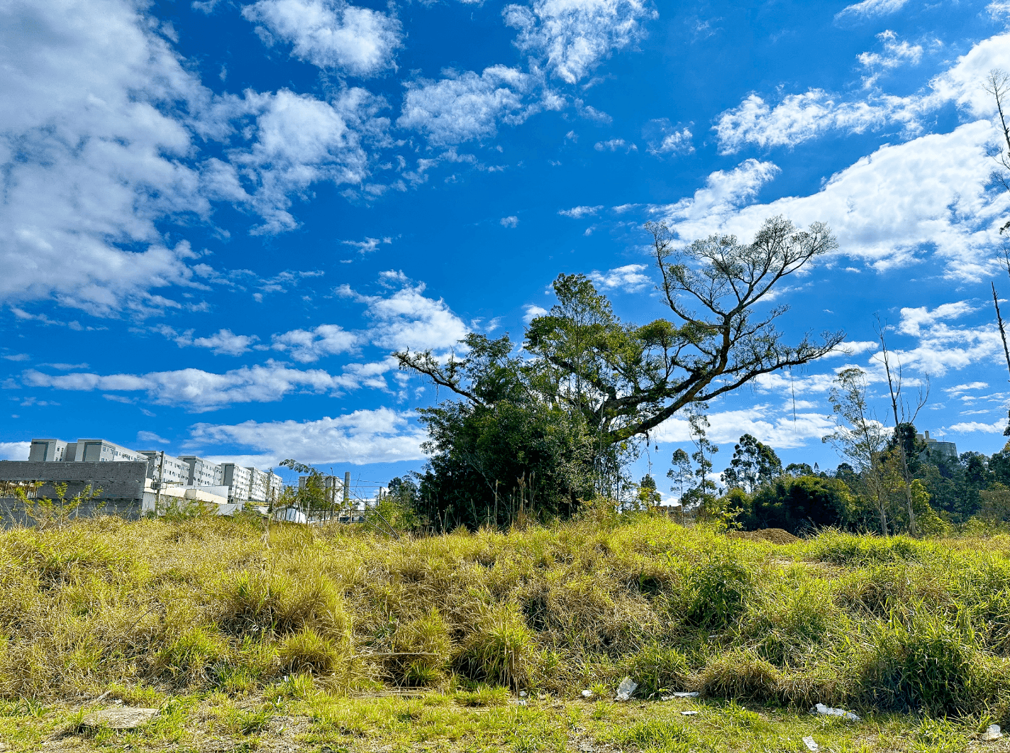 Foto do imóvel TERRENO COM 325 m² à venda no Loteamento Chácara Hamburguesa em Novo Hamburgo
