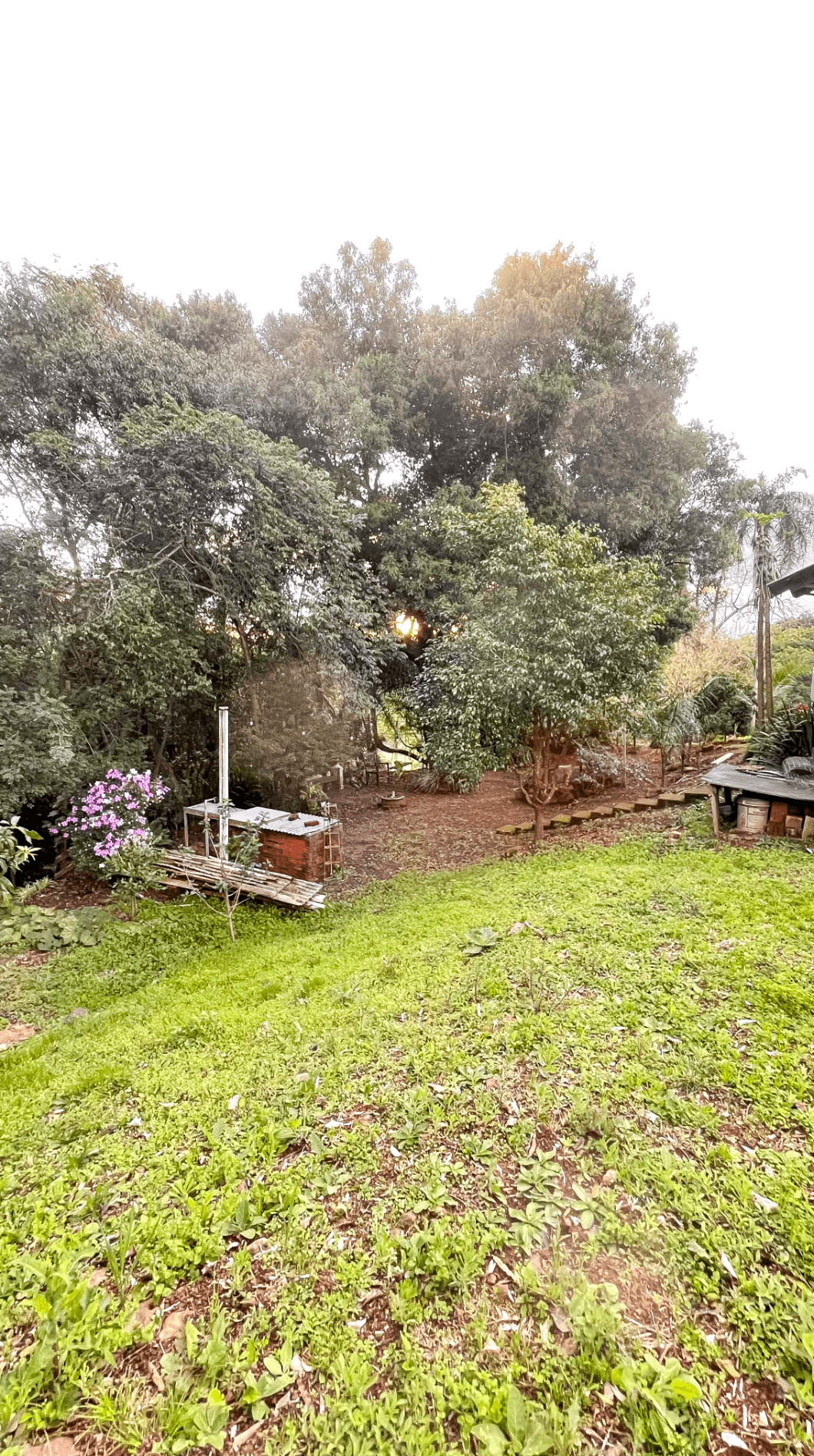 Foto do imóvel Terreno PLANO à 5 minutos do Centro de Ivoti