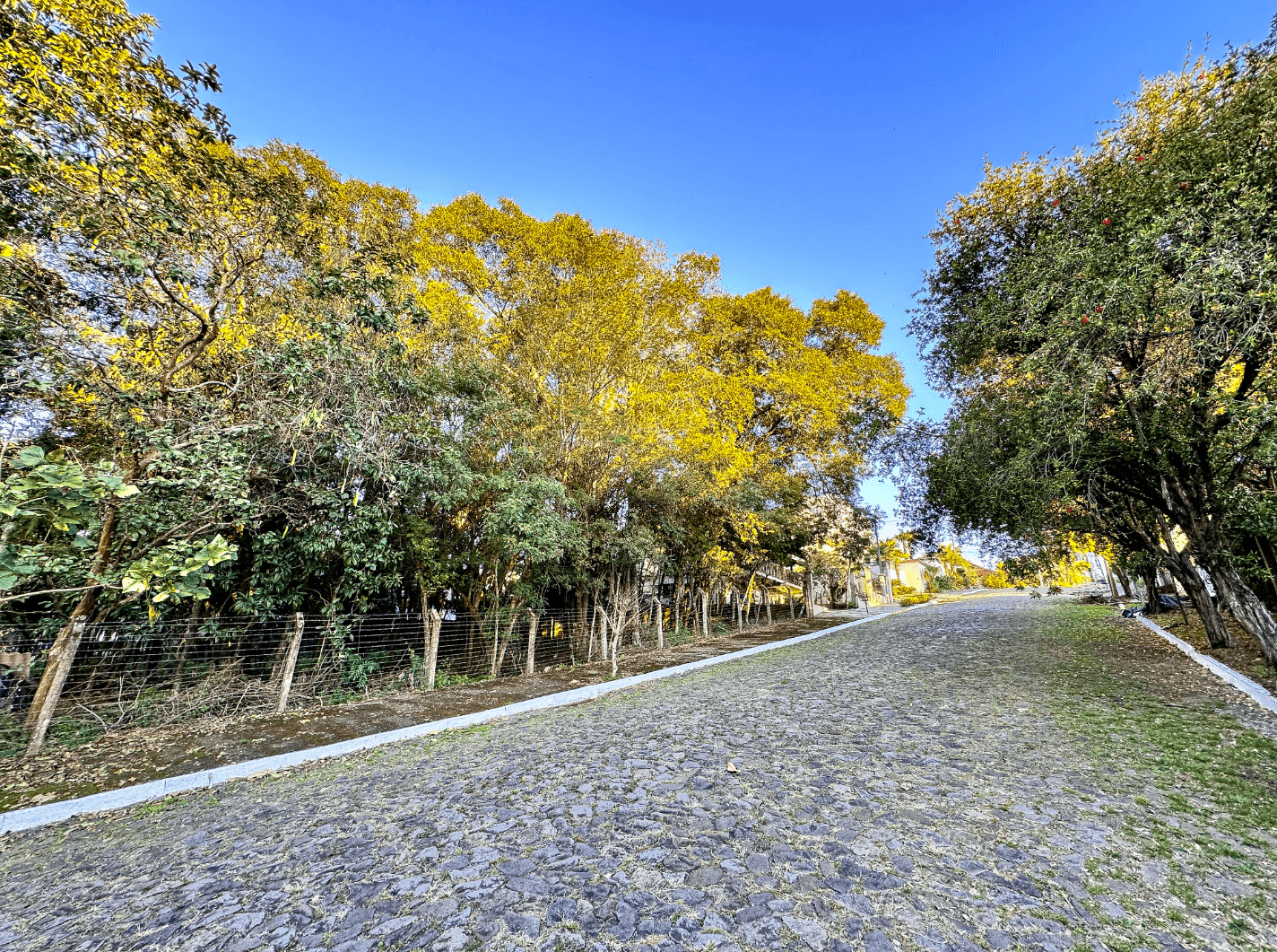 Foto do imóvel Terreno à venda no bairro Vista Alegre em Ivoti