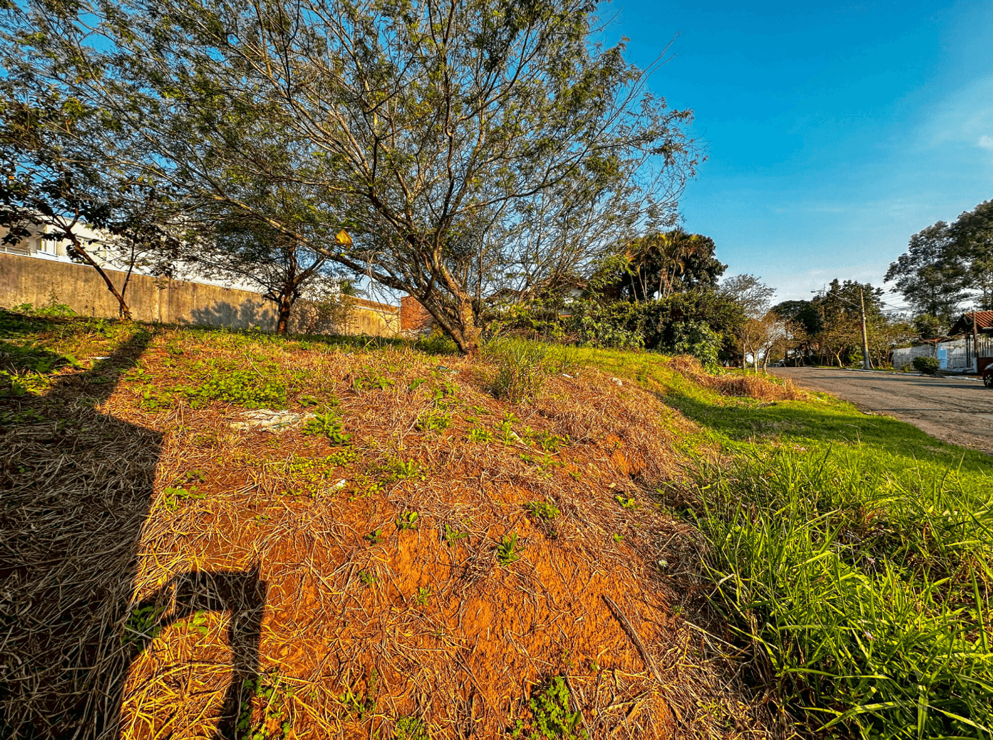 Foto do imóvel Terreno com 338m² à venda no bairro Canudos em Novo Hamburgo