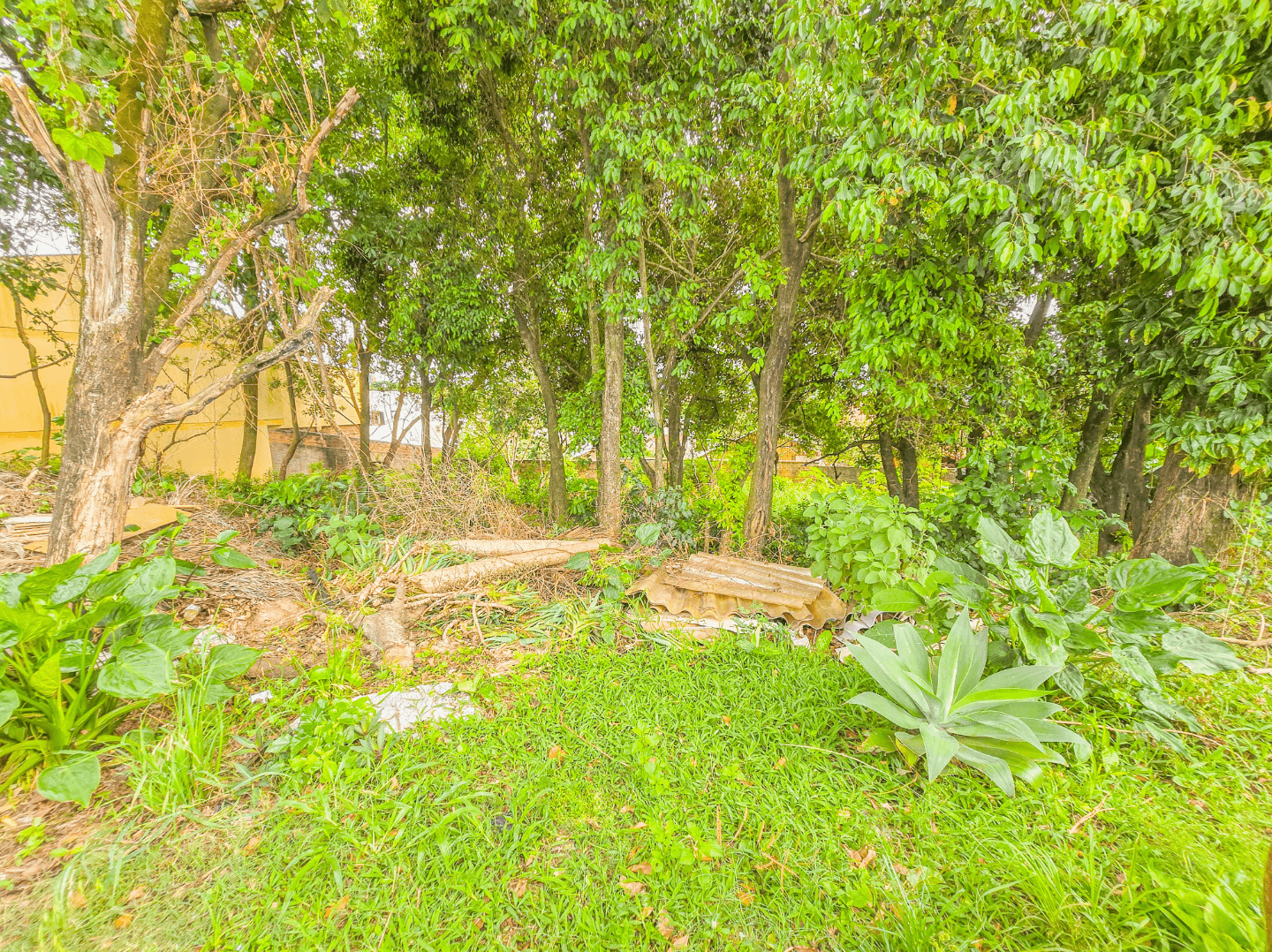Foto do imóvel Terreno com 330m² à venda no bairro Hamburgo Velho em Novo Hamburgo