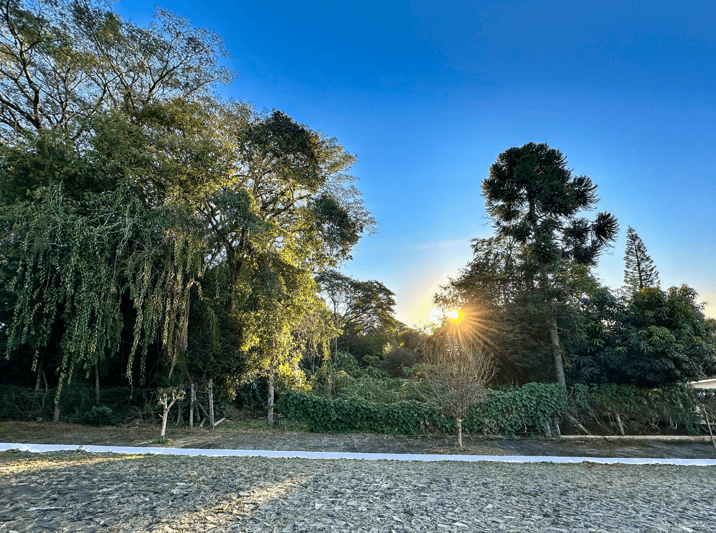 Terreno à venda no bairro Vista Alegre em Ivoti